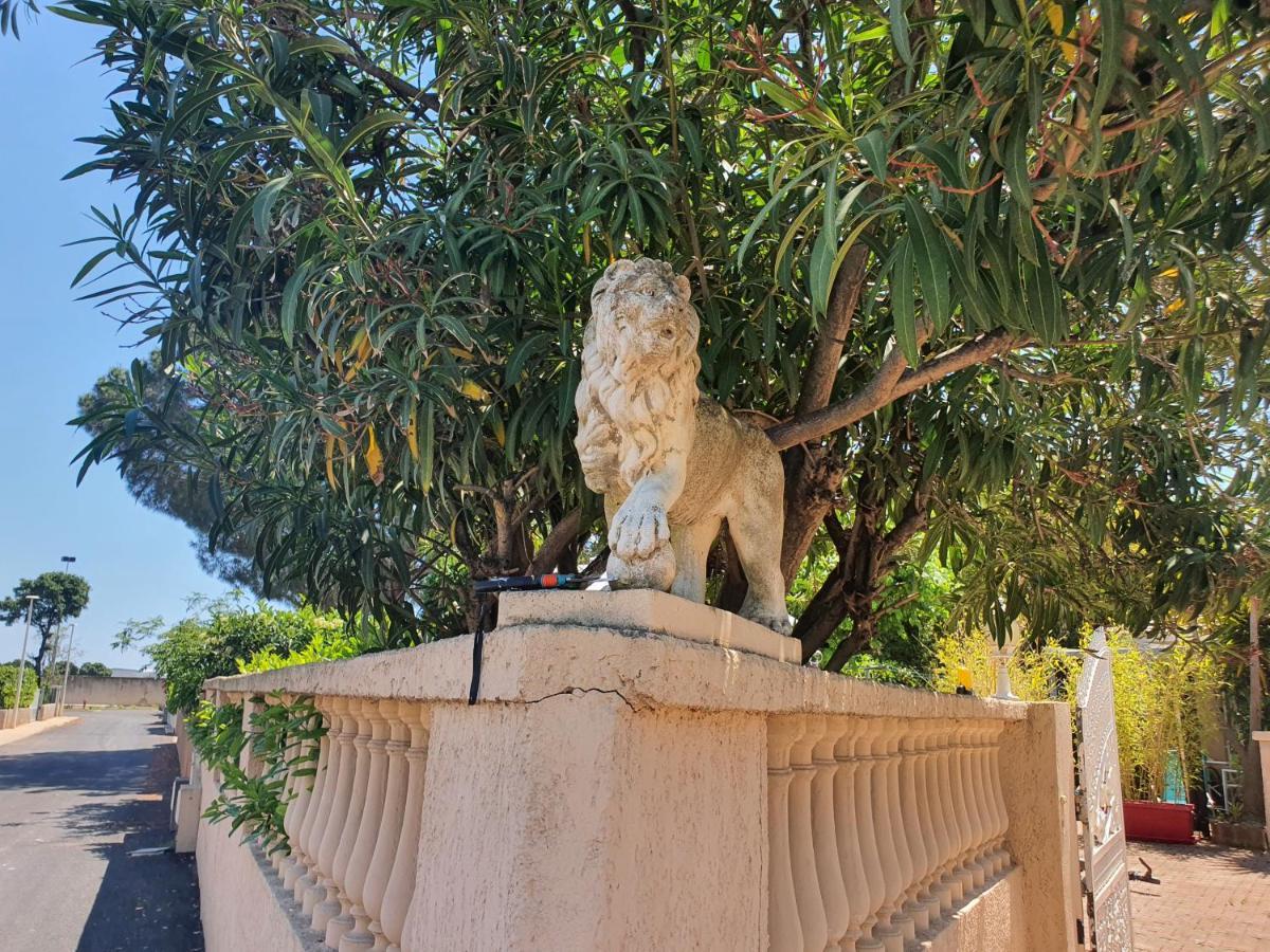 Villa Les Palmiers -Stretta Di I Mandarini Lucciana  Bagian luar foto