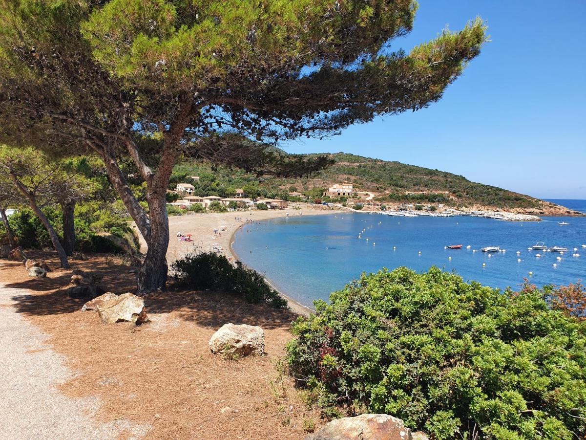 Villa Les Palmiers -Stretta Di I Mandarini Lucciana  Bagian luar foto