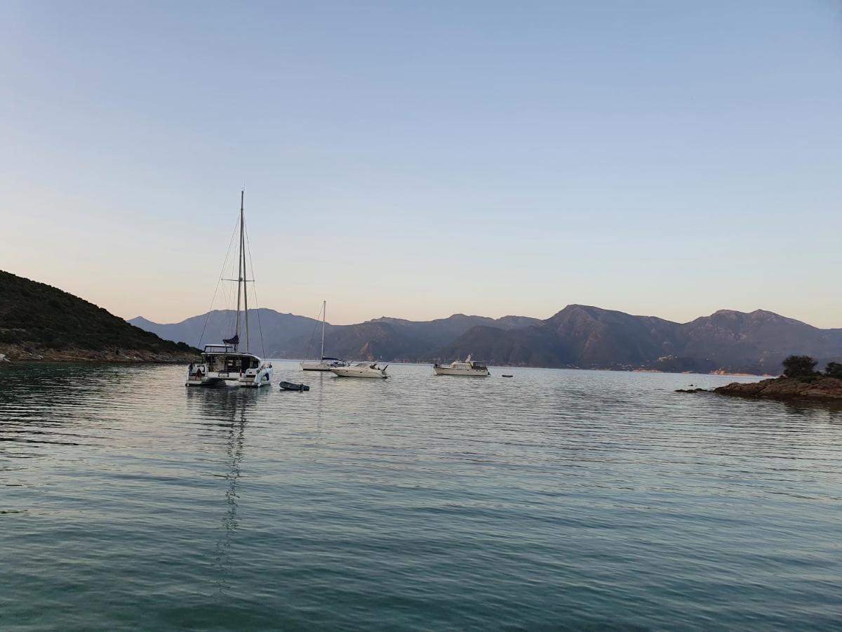 Villa Les Palmiers -Stretta Di I Mandarini Lucciana  Bagian luar foto